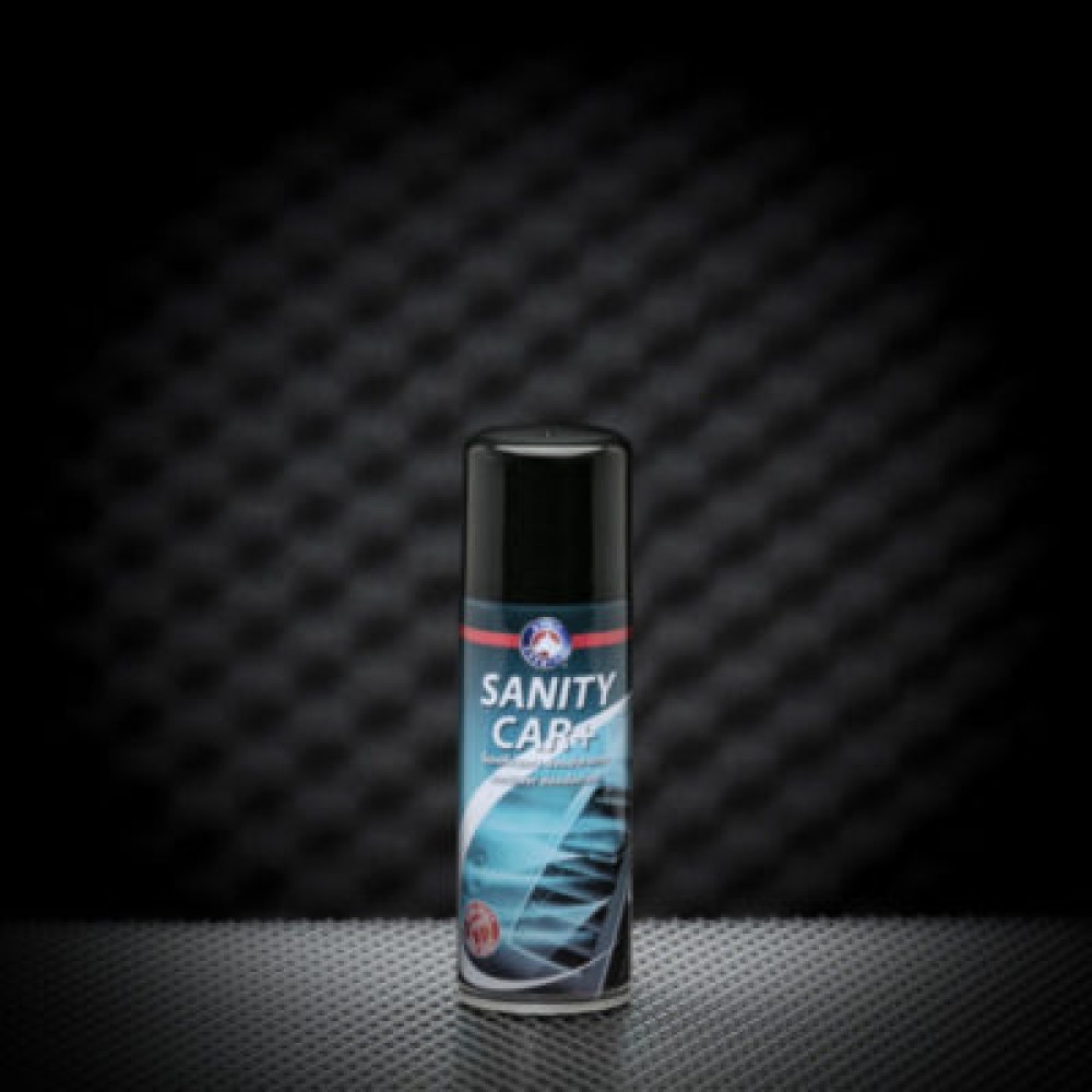 SYNT SANITY CAR 12x200ML